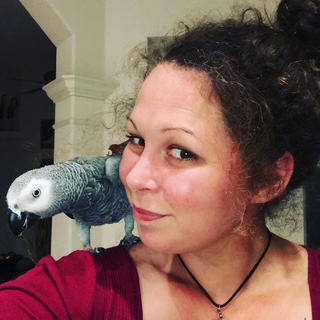 EBB0F80E-0CF7-4CB0-9721-81E35F44B5F7